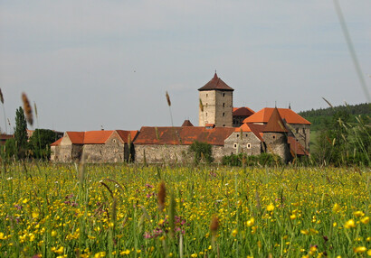 Vodní hrad Švihov - Galerie - Mezi stromy z louky